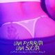 Una Perrita Una Sucita Binicio Remix Single