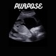 Purpose Single