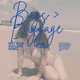 Bags Baggage Single