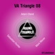 VA Triangle 08 Single