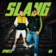 SLANG Single