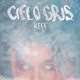 Cielo gris Single