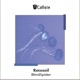 Rotosoil Single