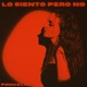 Lo Siento Pero No Single