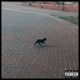 Black Cat Theory EP