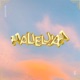 Hallelujah Single