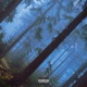THE WOODS EP