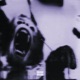 Dying Season Single