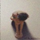 issues Single