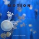 Motion Single