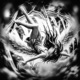 GENESIS EP
