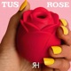 Rose Single