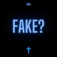 Fake Single
