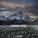 Coming Home Single