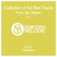 Collection of the Best Tracks From Igor Kalinin Pt 1