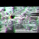 MORE MADNESS EP