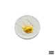 HIGH TASTE Single
