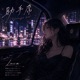 Passenger Seat Single
