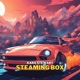 Steaming Box Single