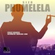 Sizo Phumelela feat Aembu Sphiwe Vox Golden Krish Single