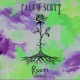 Roots Seeb Remix Single
