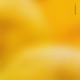 Lemonade Single