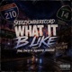 WHAT IT B LIKE feat SQUEEKY STALLONE Single