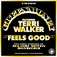 Feels Good feat Terri Walker Remixes EP