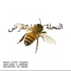 Na7leh feat Abul3ees Rknddn Single