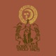 Bobby Weir Wolf Bros Live in Colorado