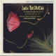 Boccherini Complete Symphonies Vol 6