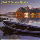The Sweet Sunny North Henry Kaiser David Lindley In Norway Vol 2