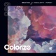 Singularity Forest EP