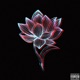 Higher Vibration feat Danny Ali Single