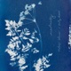 Uncertainty Single