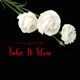 Take It Slow Single