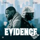 Evidence Single