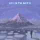 Life in the Arctic EP