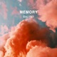 Memory Single