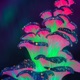 Everything Connected EP