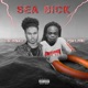 Sea Sick feat Y n Lyric Single
