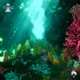 Beneath the High Sea
