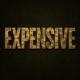 Expensive Single