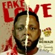 Fake Love feat Dr Tawanda Nelcy B Single