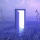 Portal Single