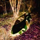 Violets Vertebrae EP