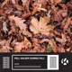 Fell Asleep During Fall Single