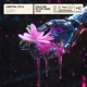 Hold Me in the Dark Single