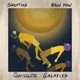 Satellite Galaxies Single