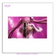 MVP feat V4Vanquish ARSX Single